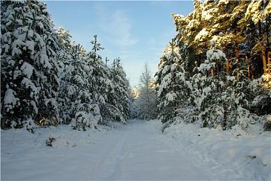 感谢玩家1997年N64版《地球冒险3》视频终于公开